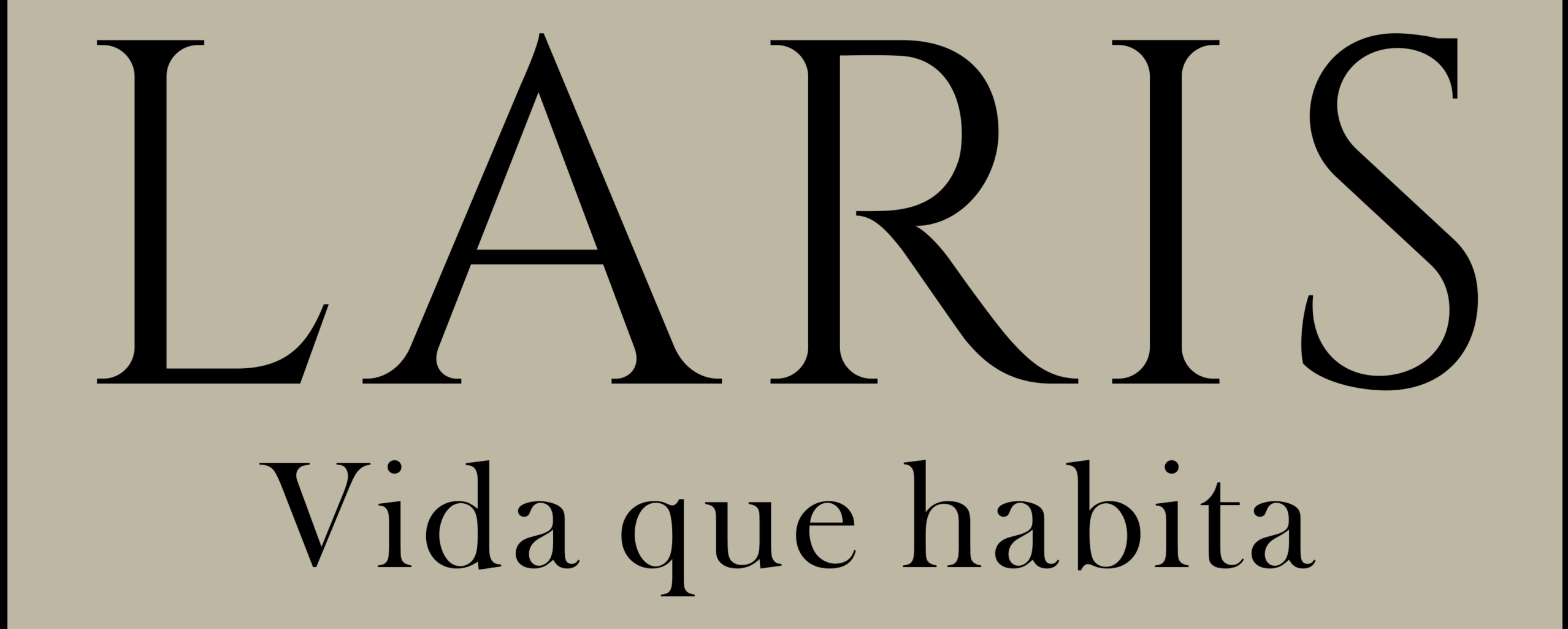 laris.com.mx